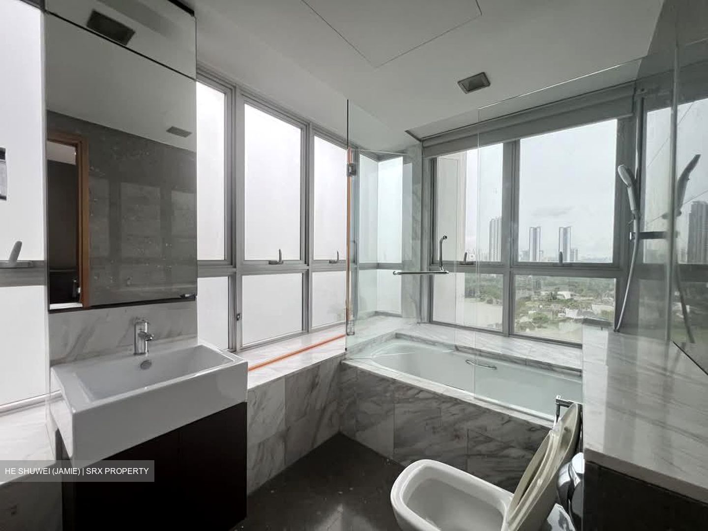 The Parc Condominium (D5), Condominium #557940841